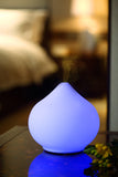 Ultrasonic Aroma Diffuser/Humidifier with Glass Dome - Royal Recliners