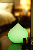 Ultrasonic Aroma Diffuser/Humidifier with Glass Dome - Royal Recliners